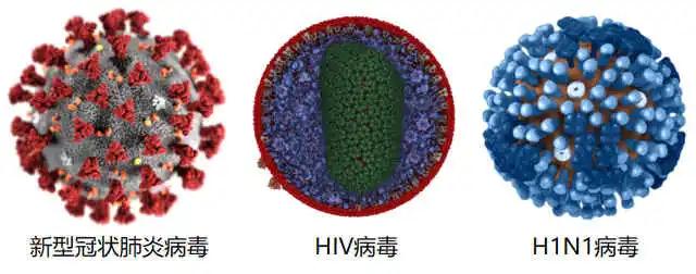 新型冠状病毒