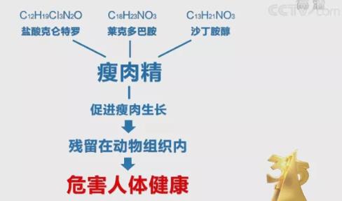 克伦特罗的测定方案