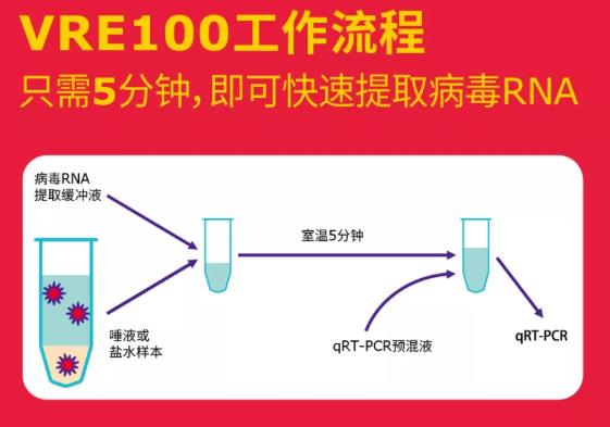 病毒RNA提取缓冲液(VRE100)