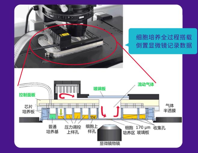 微流控细胞芯片实验室CellASIC®ONIX2