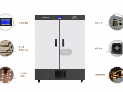 低温冷光源植物光照箱 DGX-800图2