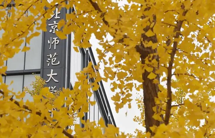 北京师范大学预算850万 采购X射线电池原位结构分析仪、固体核磁共振谱仪