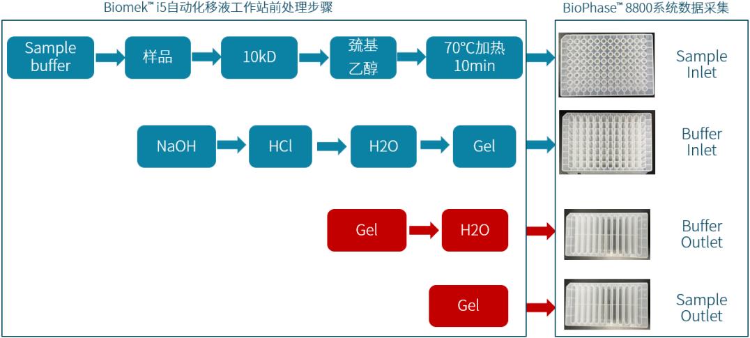 Beckman Biomek i5自动化移液工作站与SCIEX高通量毛细管电泳BioPhase™ 8800系统