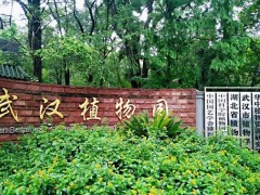 中国科学院武汉植物园预算185万元 采购三重四极杆液质联用