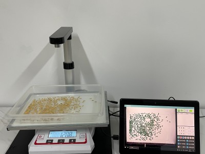 拍照式千粒重仪及考种仪图3