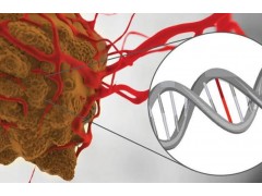 徕卡激光显微切割系统：精确到单细胞的 DNA 变异分析工作流程